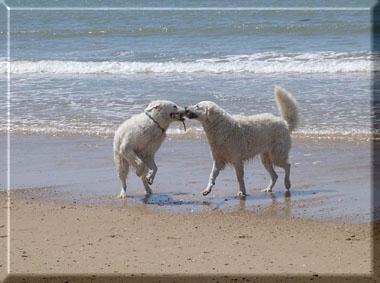 Manyi von Anka und Tante Lisa